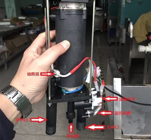 mg东方珍兽游戏平台